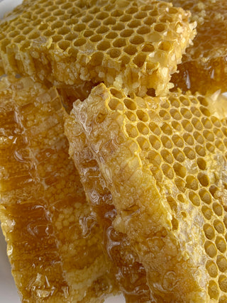 Extract honey from your beehives with ease using our extractors and tools.
