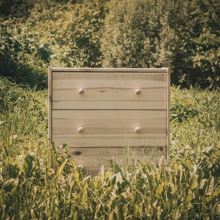 Beekeeping Kits