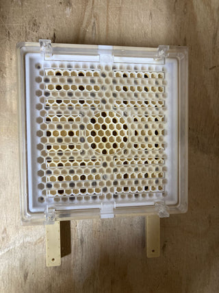 Jenter rearing frame only