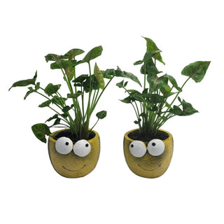 Bee Planter Pot - Set of 2