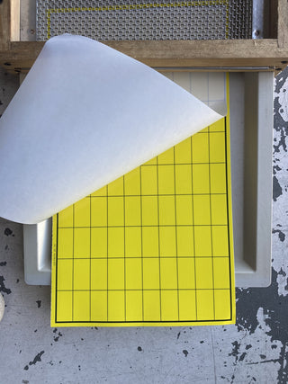 Easy-Count Sticky Mat | Sticky Board for Varroa