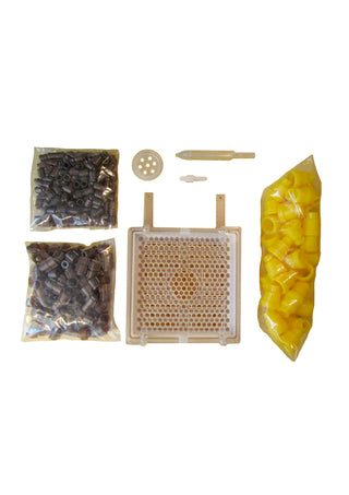 Jenter Queen Rearing Kit, Advanced Kit