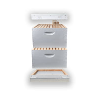 Traditional Hive Kit with Super