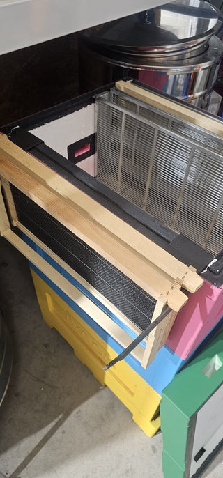 Lyson Beehive Frame Holder – Fits Langstroth and Lyson Hives