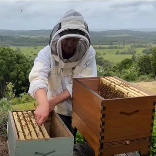 Return Visit for FlowReady or Langstroth Starter Hive & Bees