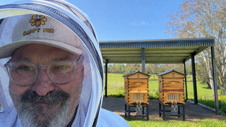 FlowReady™ Hive Installation with Live Bee Colony